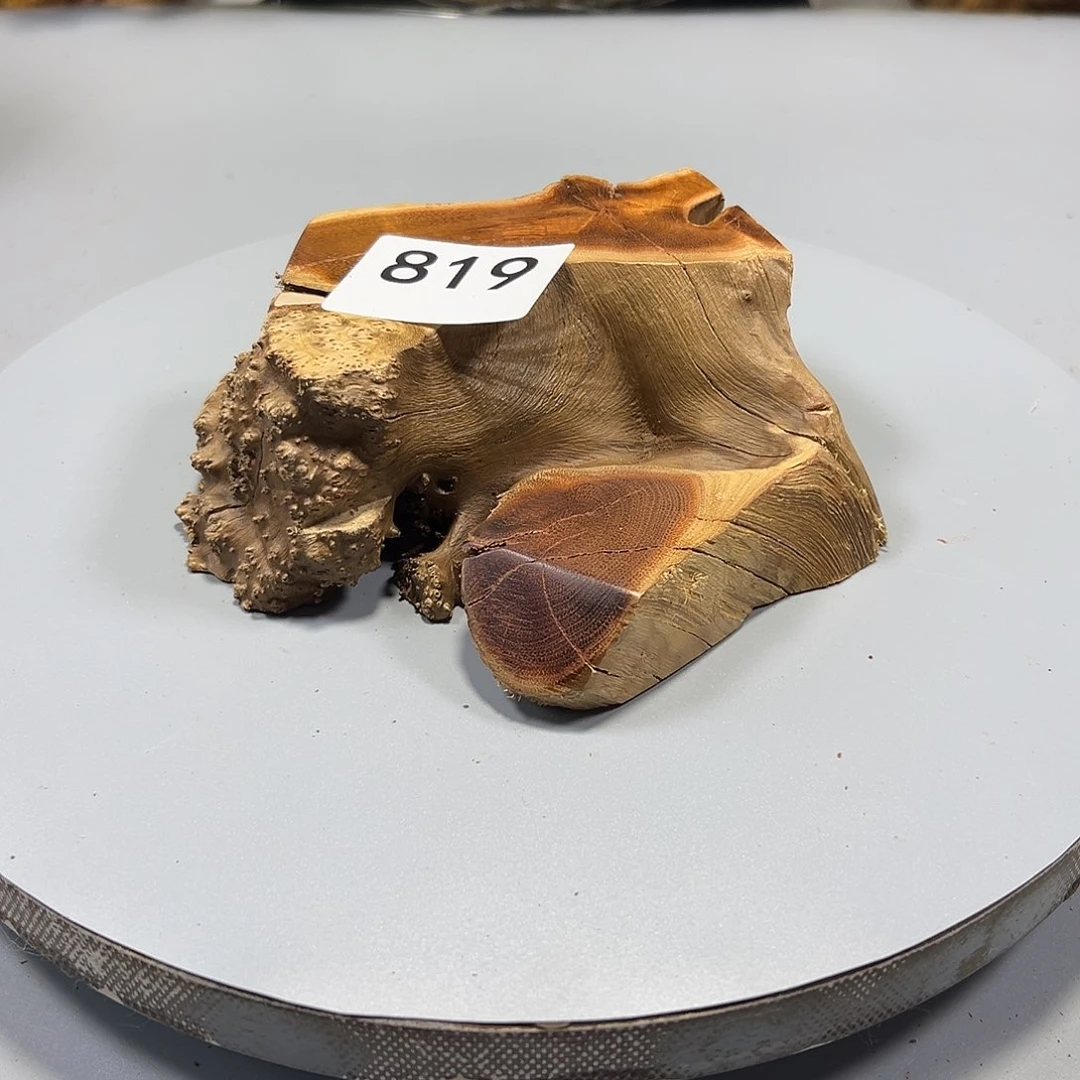 大果紫檀（缅甸花梨）H****r