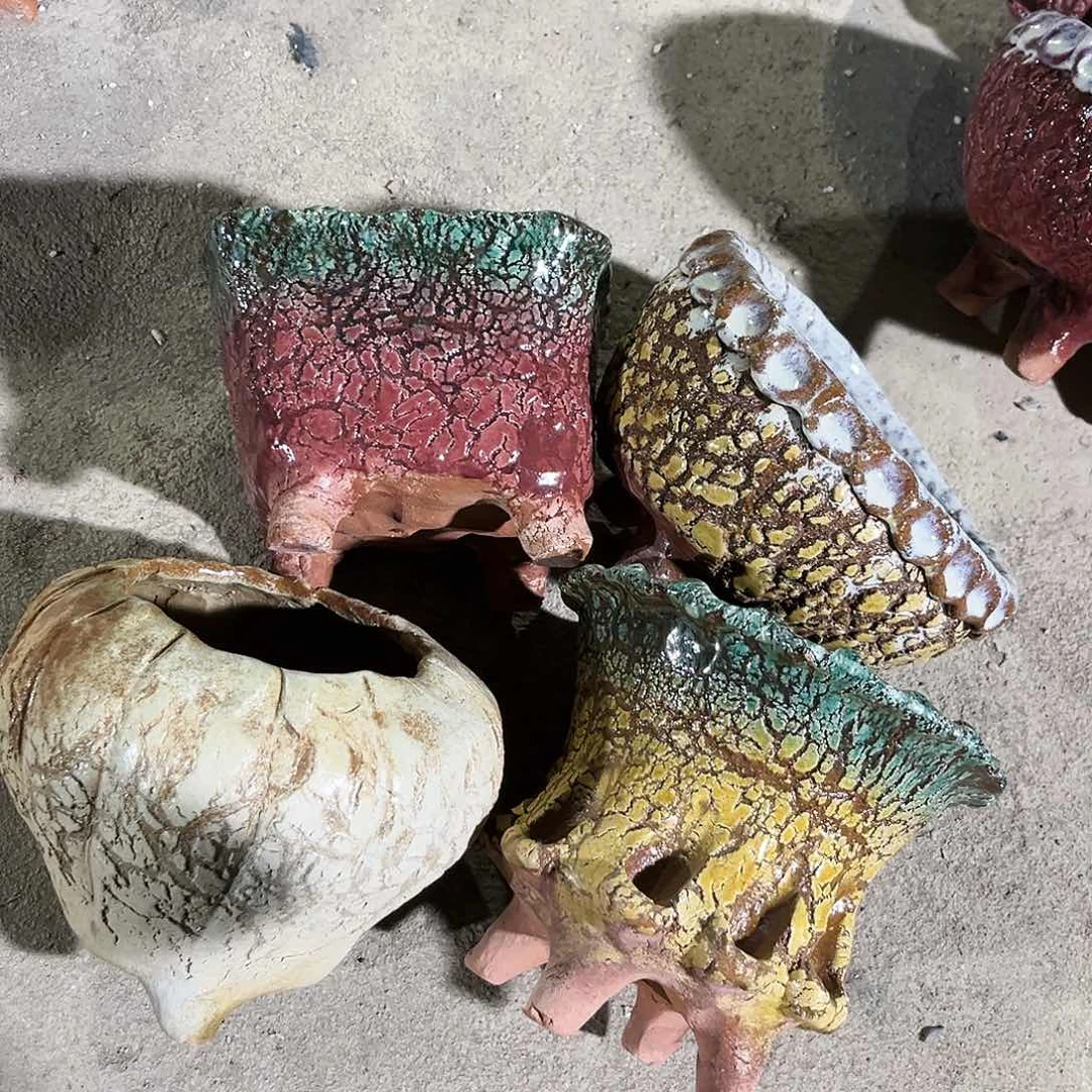 紫砂花盆花盆里的小