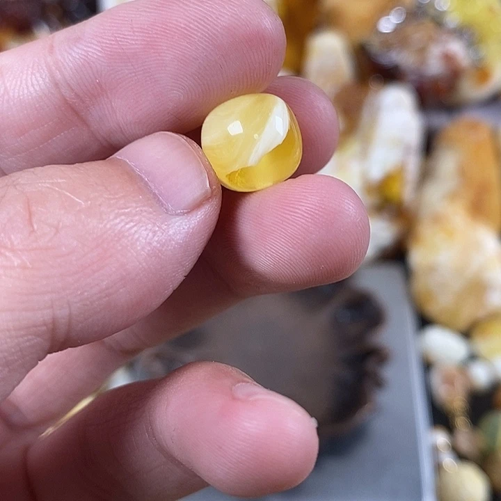琥珀未镶嵌裸石我