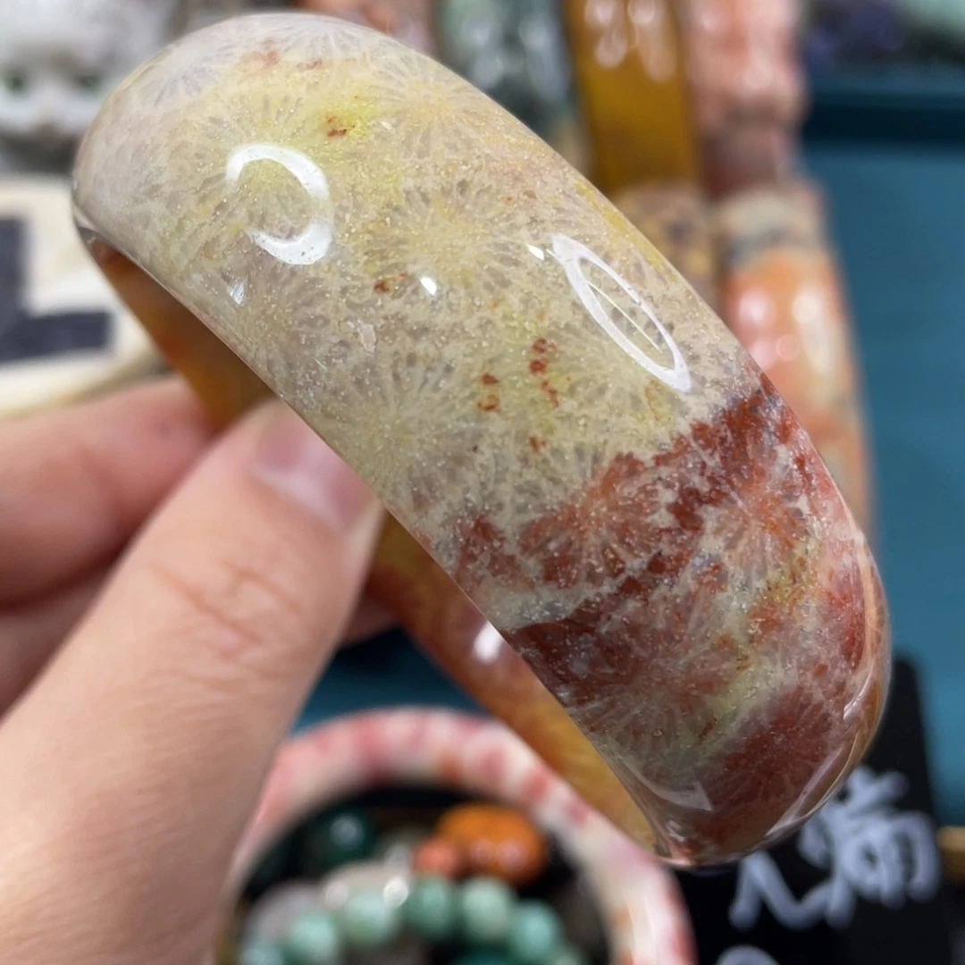 未镶嵌手镯硅化玉