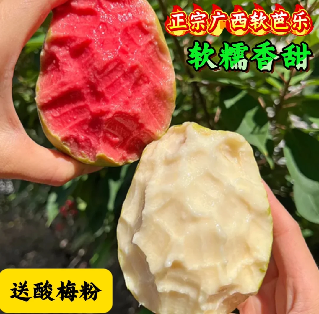 （东北西北拍）广西红心芭乐软心红心番石榴3斤新鲜水果香甜
