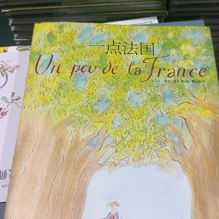 绝版精装1点多折一点法国