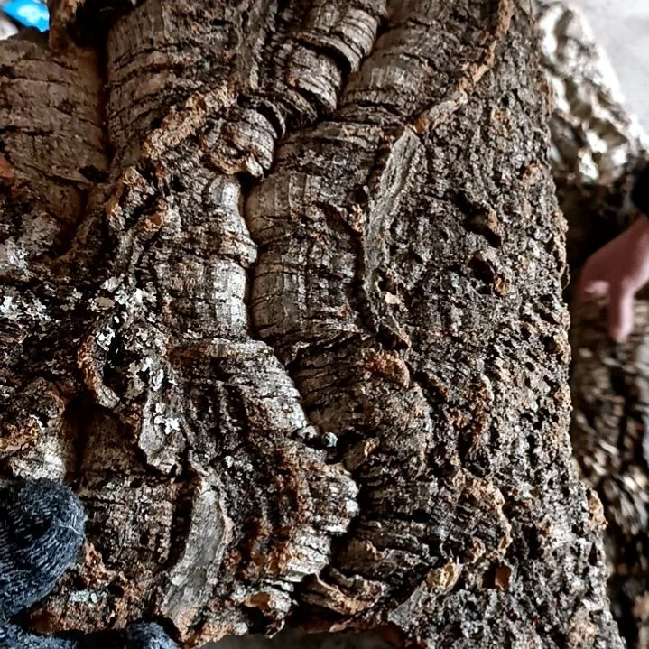 木一物一拍一物一发