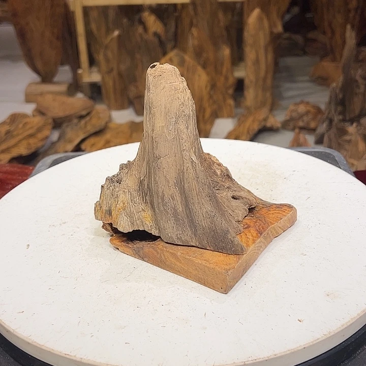 松木（琥珀木）笔****》