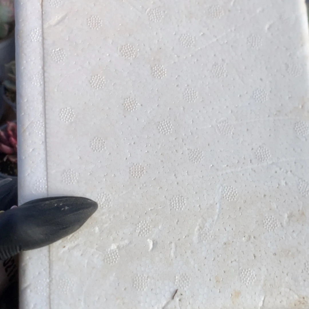 叫**张保温箱哈哈哈哈哈哈