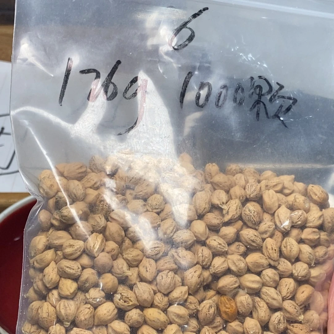 柏香籽/百香籽吊坠
