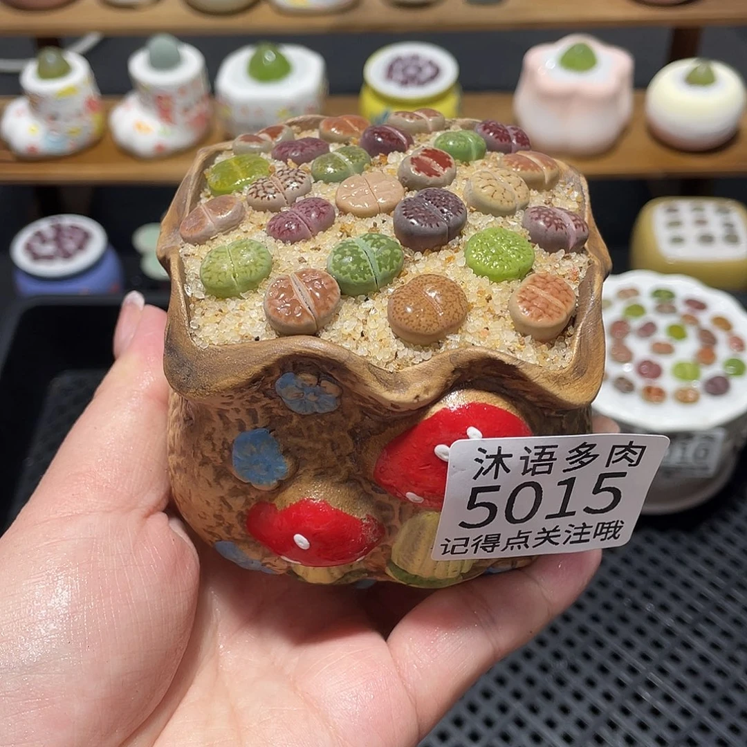 带盆土植物 一物一拍5015