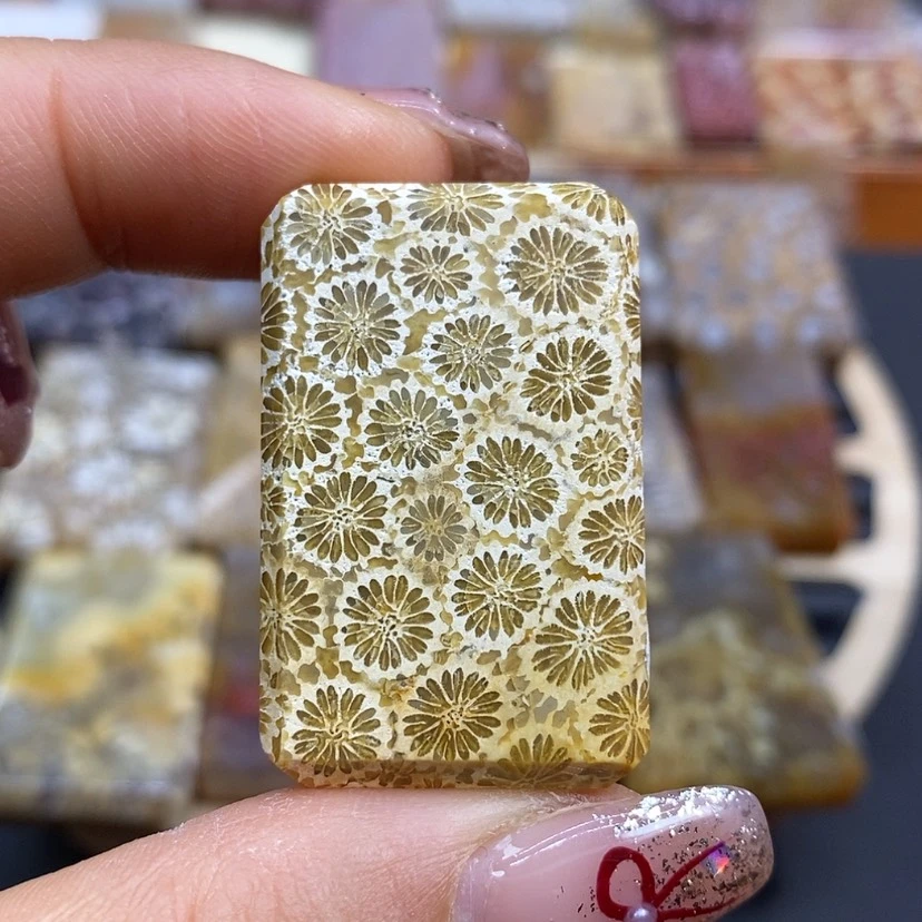 【闪购商品】硅化珊瑚（珊瑚玉）颈饰未镶嵌K98