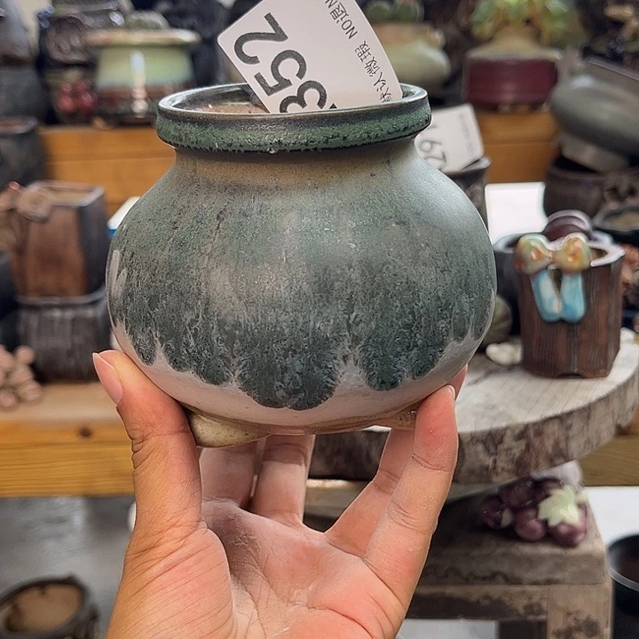 重庆小燕子欢迎大家352