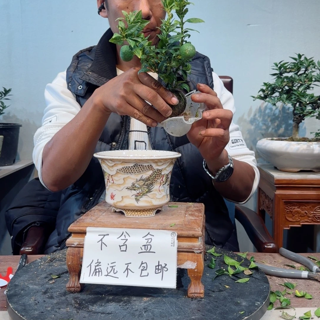 少量花朵（建议范围：2朵-5朵 或40%以下）一*茶