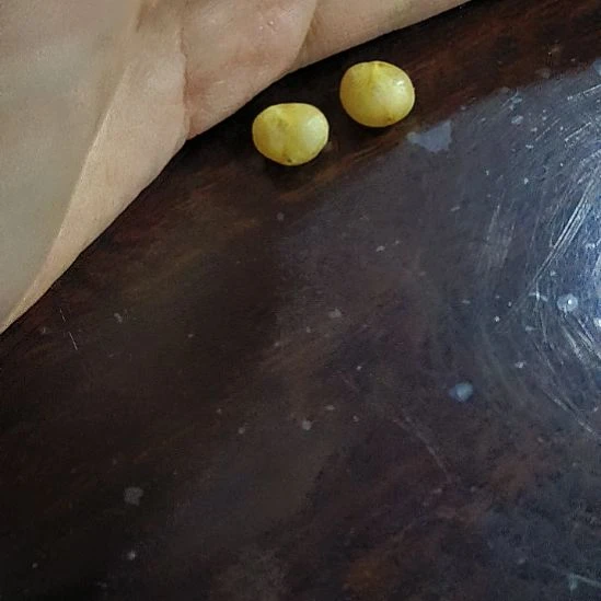 完全开放还以为可以记在心里