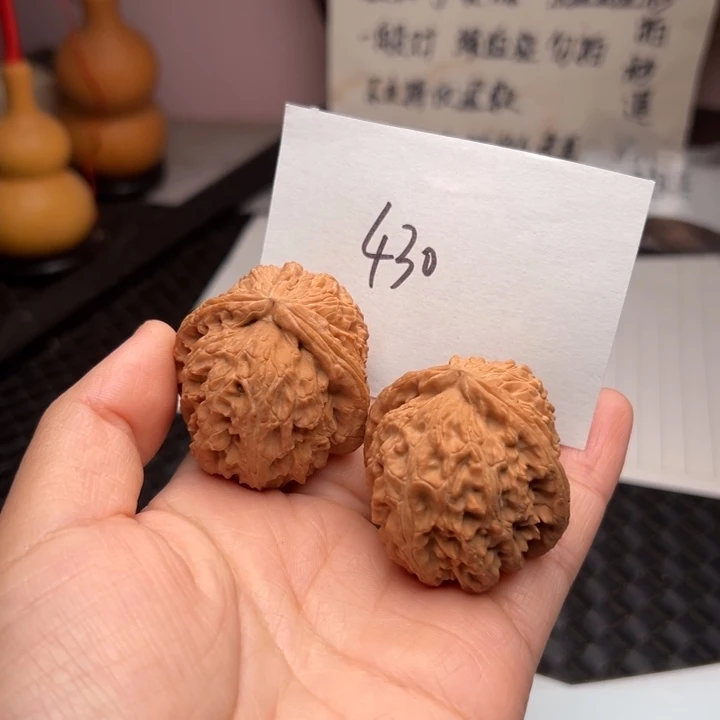 核桃40尺寸原装白狮子
