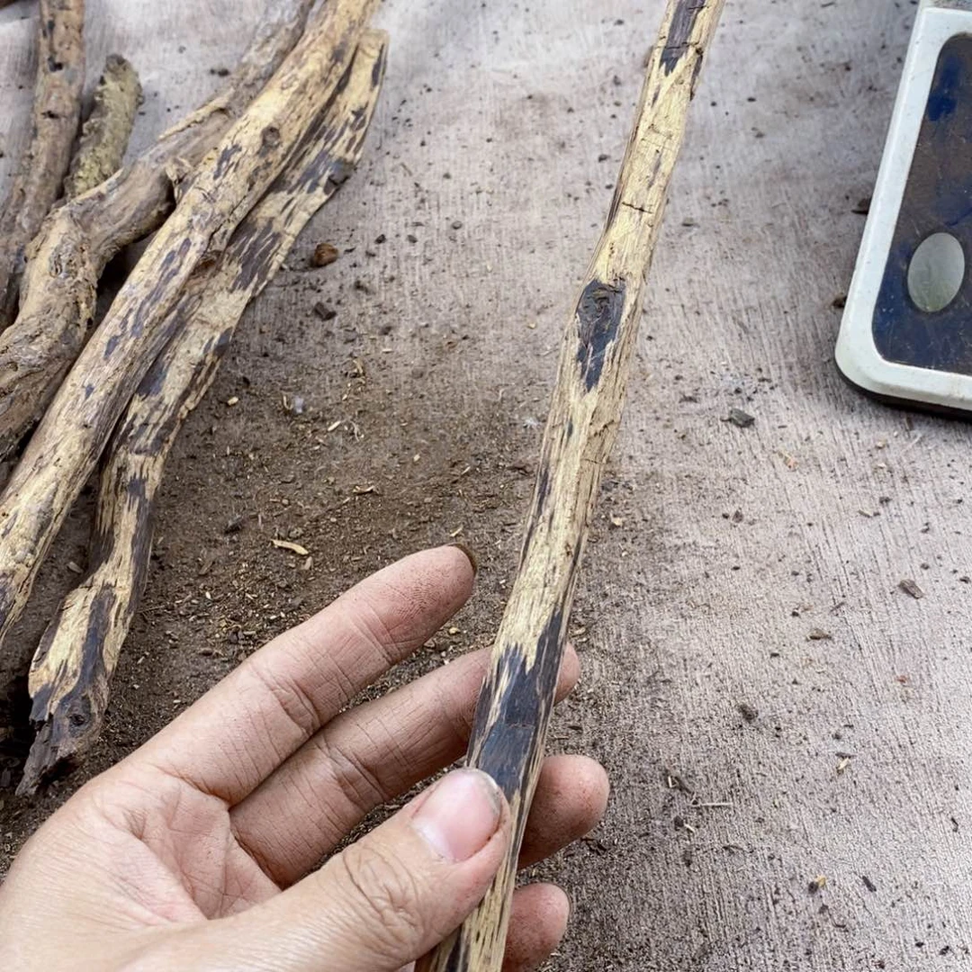 黄花梨/降香黄檀钓****哥