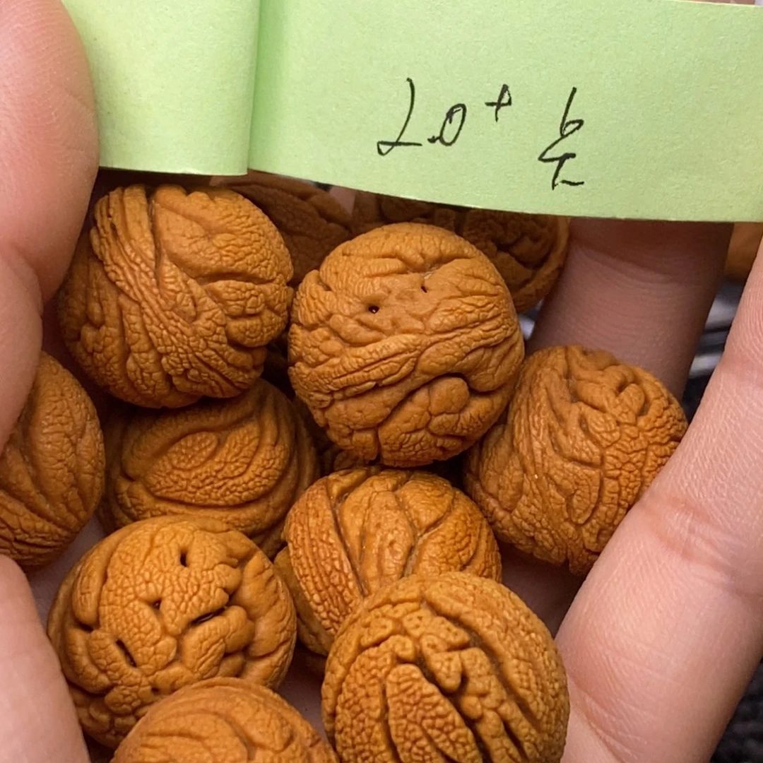 秦岭山脉龙纹桃核 13