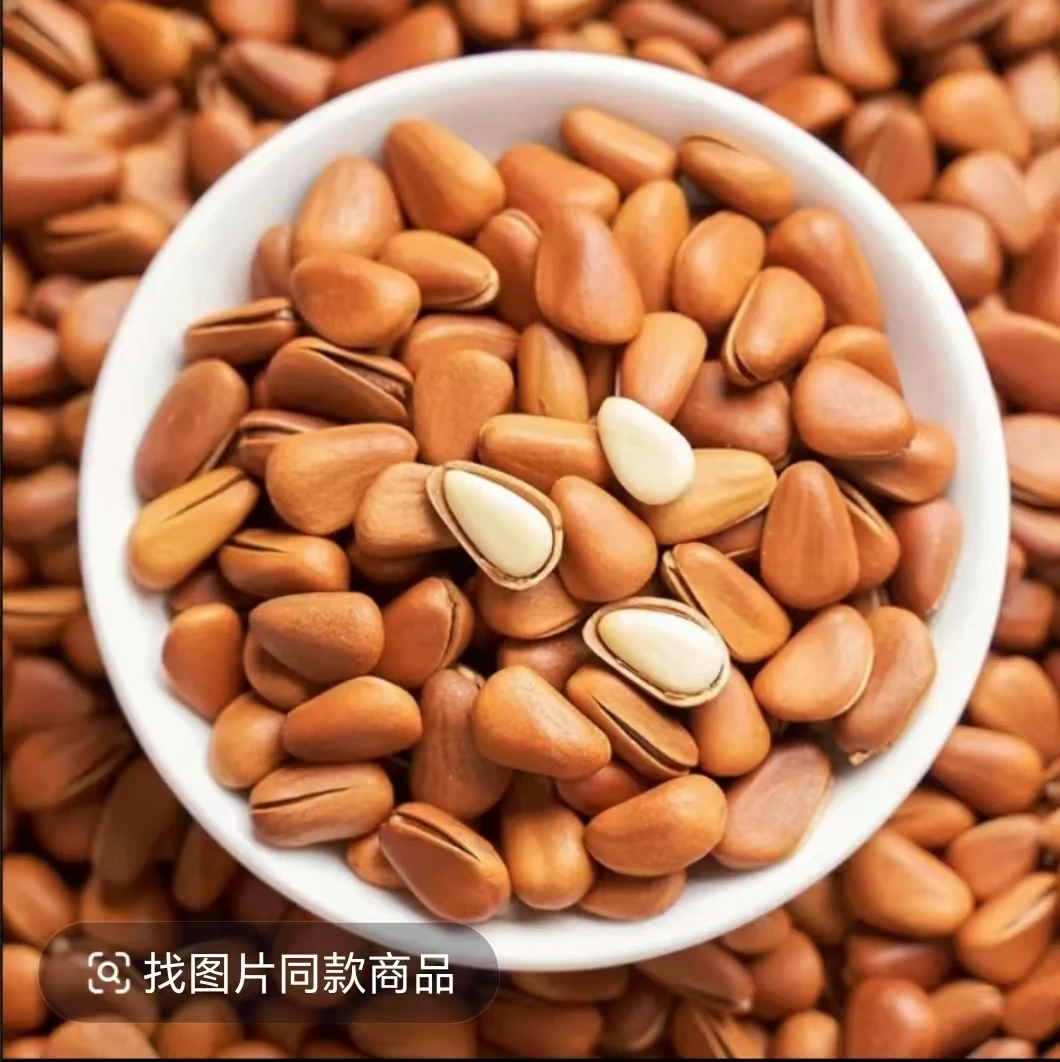 松子新货颗粒装原味干果坚果零食开口袋装