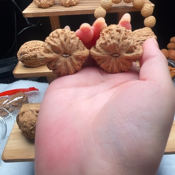 飞***鱼物美价廉物美价廉