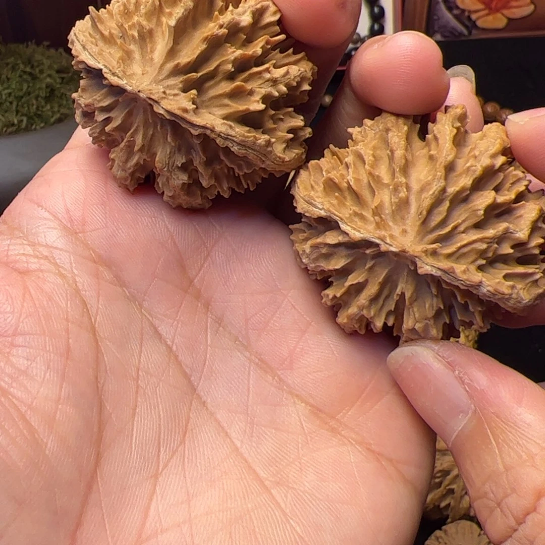 文玩核桃把件秦岭野生文玩核桃