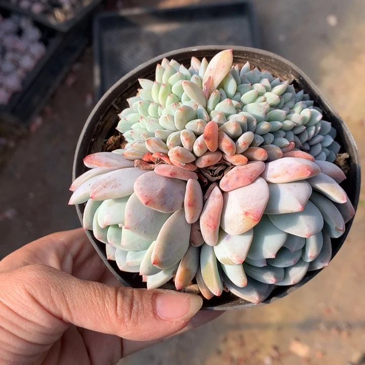 122702缀嗯嗯嗯嗯嗯嗯好喜欢