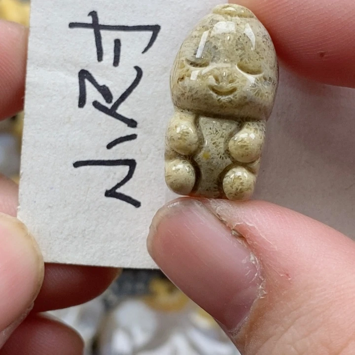颈饰未镶嵌硅化珊瑚（珊瑚玉）
