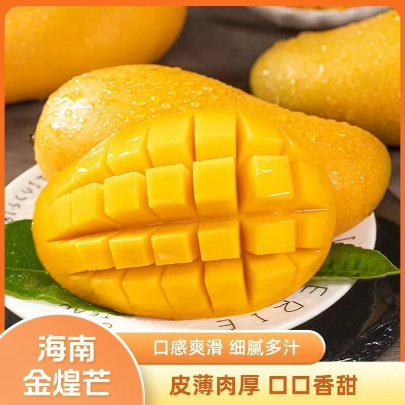 【催熟】海南金煌芒新鲜当季热带水果4.5-5斤中大果