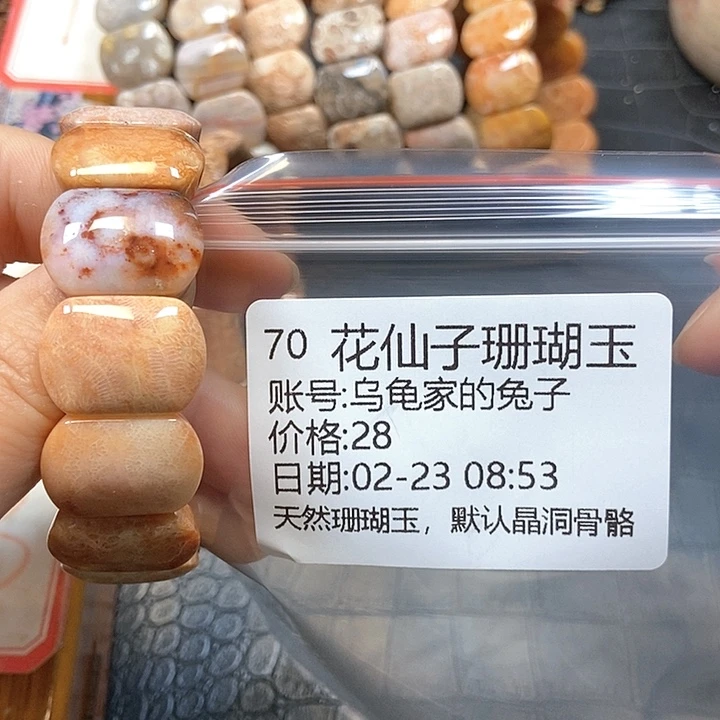 硅化珊瑚（珊瑚玉）手镯未镶嵌乌****子70