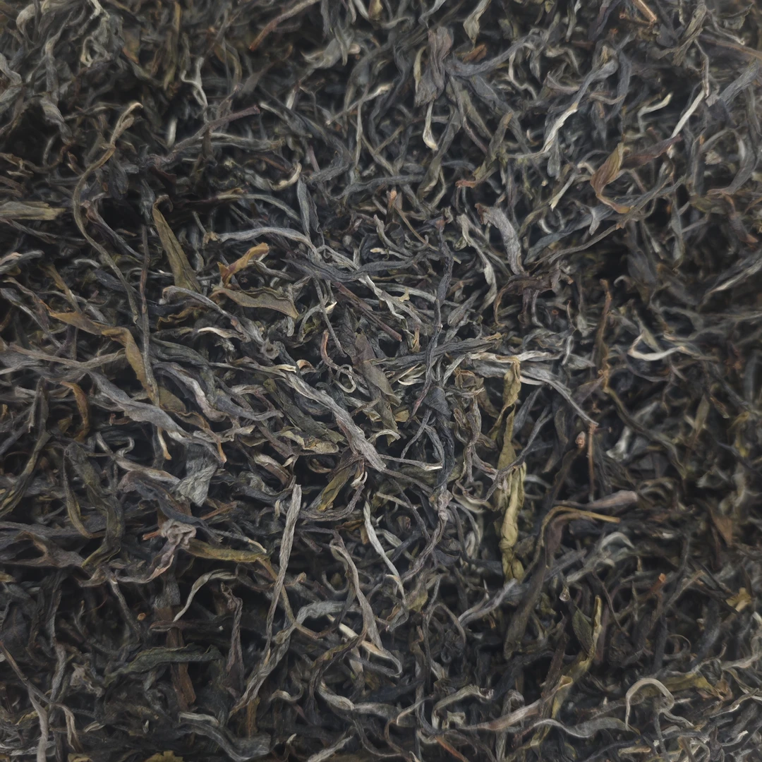 2025年老君山古树 普洱茶  生茶  散茶  头春古树