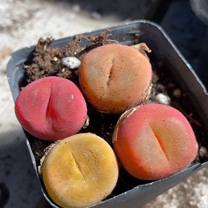 24104一组一组一组