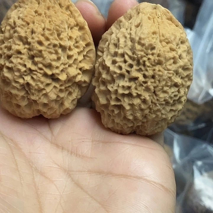 文玩核桃把件云南铁核桃基地8