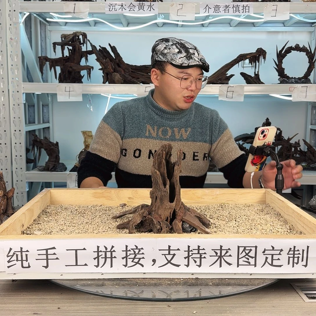 沉木造景沉木造景