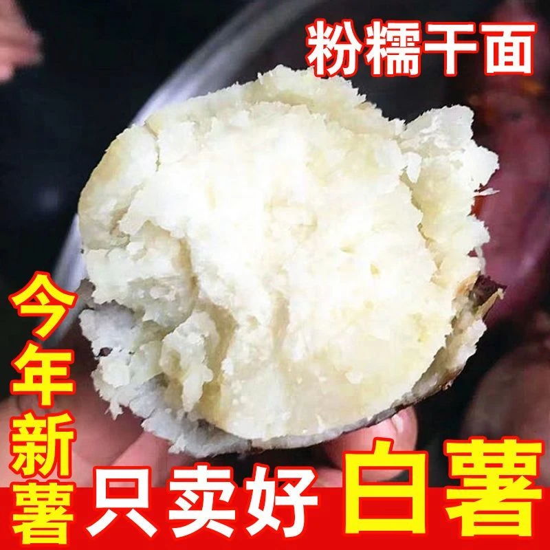 正宗板栗薯红皮白心红薯新鲜番薯白瓤山芋白肉栗子粉糯面富硒地瓜