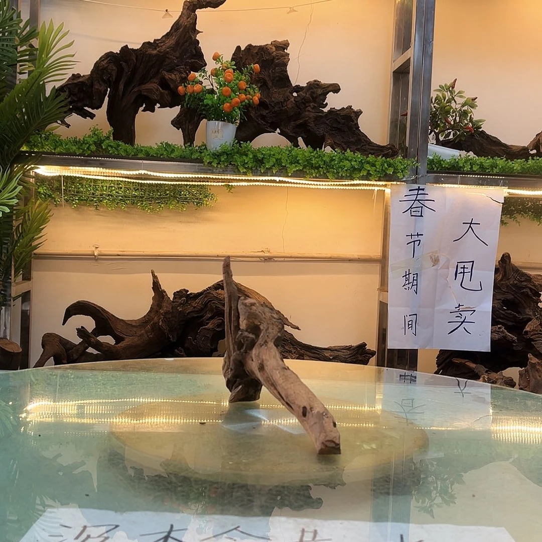 柚木沉木鱼缸造景