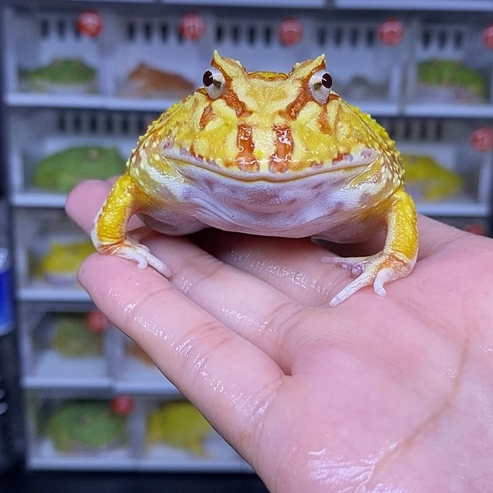特价秒杀现货特价