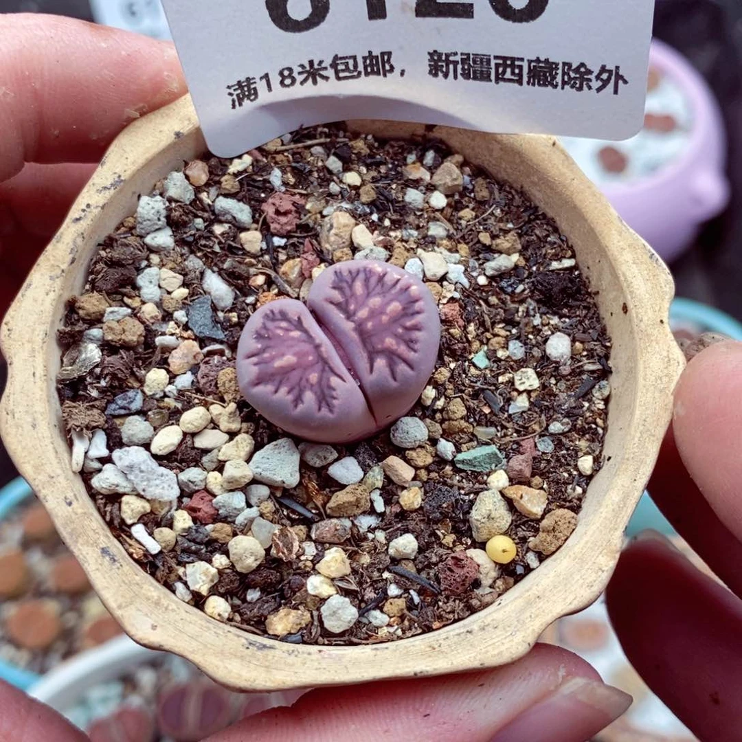 6120。