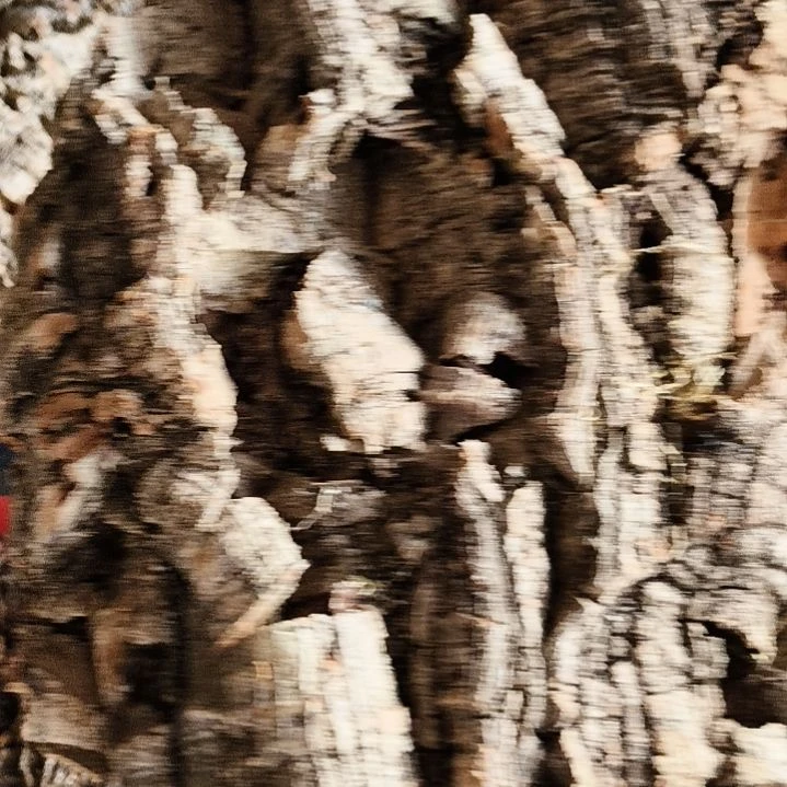 B***y一物一拍一物一发