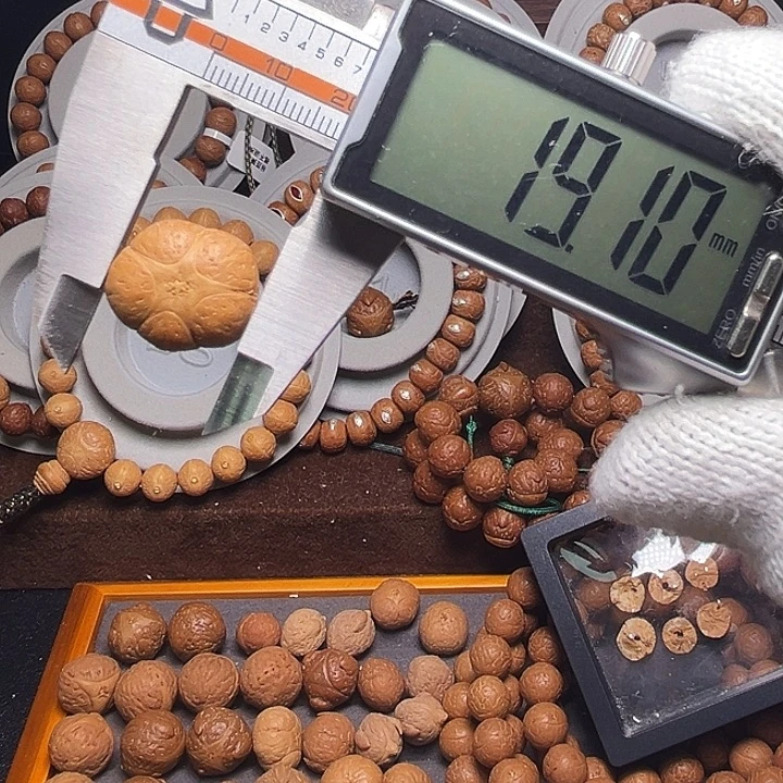 手串凤眼菩提五星上将单籽