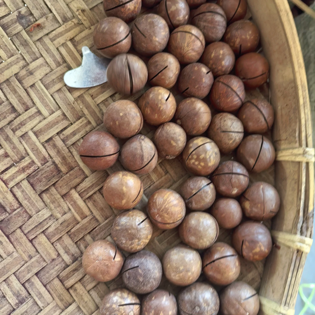 云南山货 夏威夷果