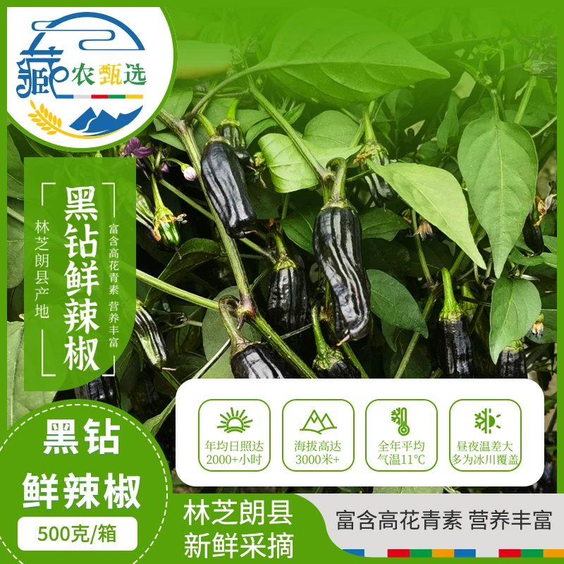 朗香缘 西藏林芝朗县新鲜（黑钻辣椒）原产地皮薄肉脆1斤