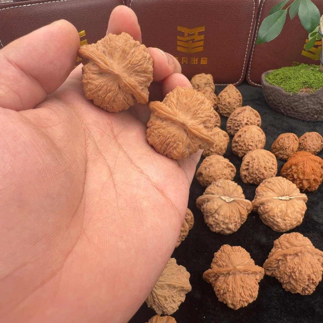 蛋***蛋核桃血麒麟精对全品