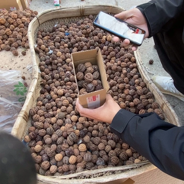 文玩核桃吊坠福利