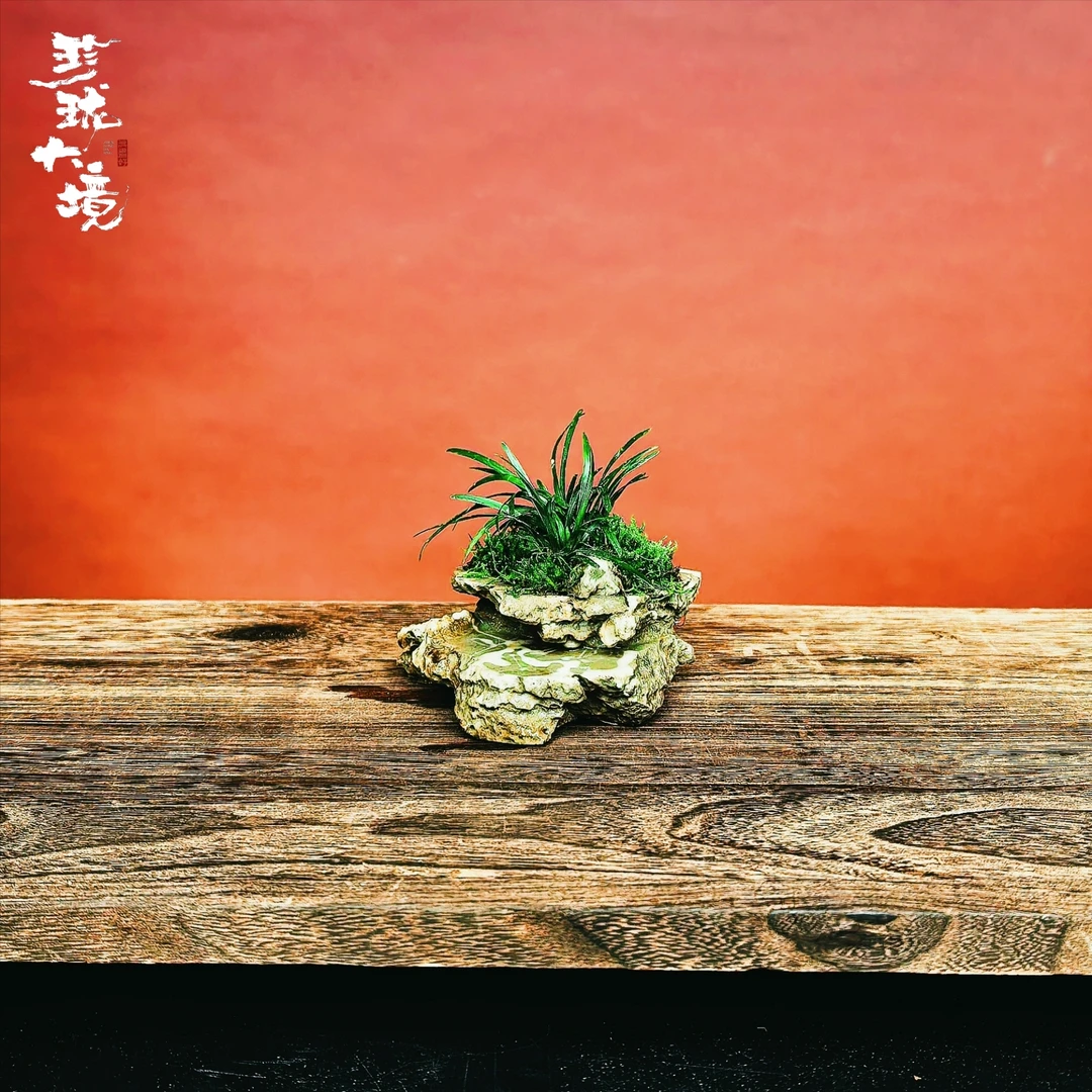 [翠石Ma]翠兰创意绿植苔藓室内国风山水微景观摆件好养护12*9*5cm