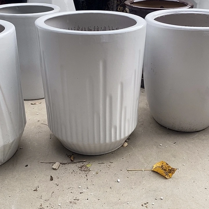 白音符中口26高33福利