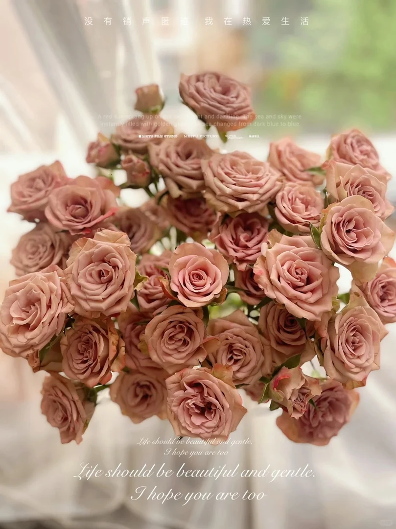 【藩篱匠人/多头卡布奇诺】高级复古 多头玫瑰 办公家用装饰鲜切花