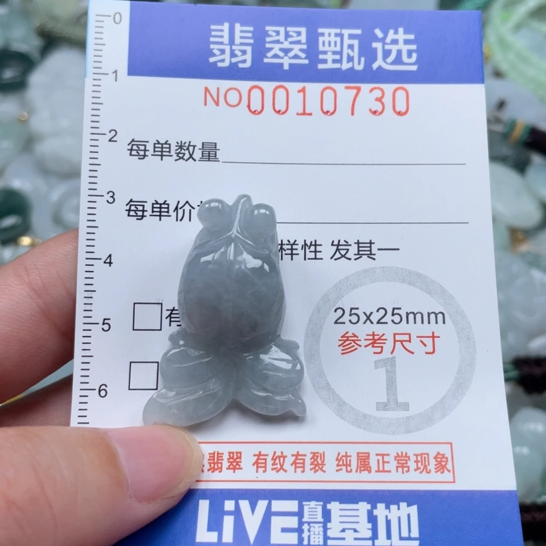 颈饰未镶嵌翡翠10730