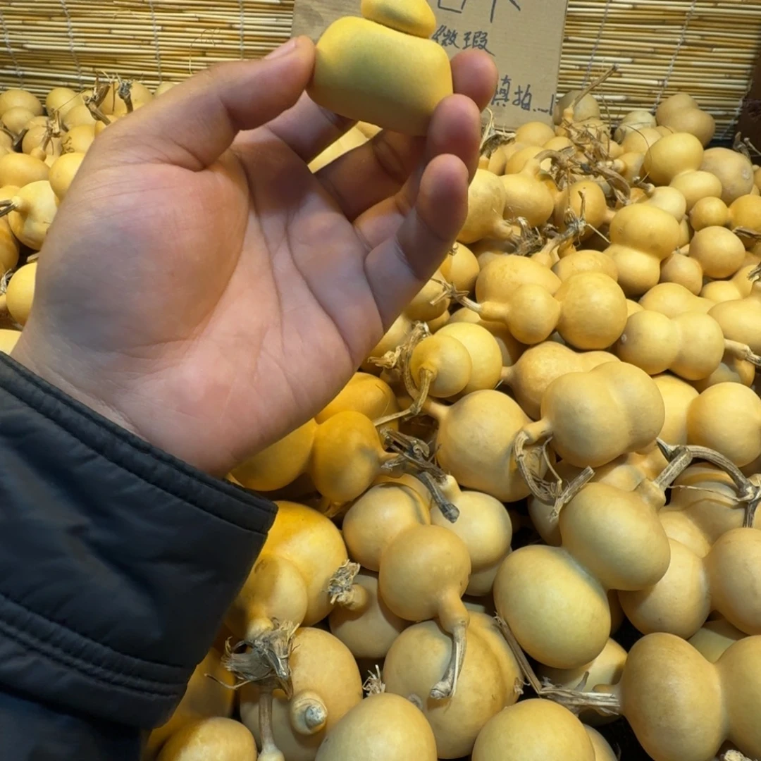薇***好好好好好好好好好