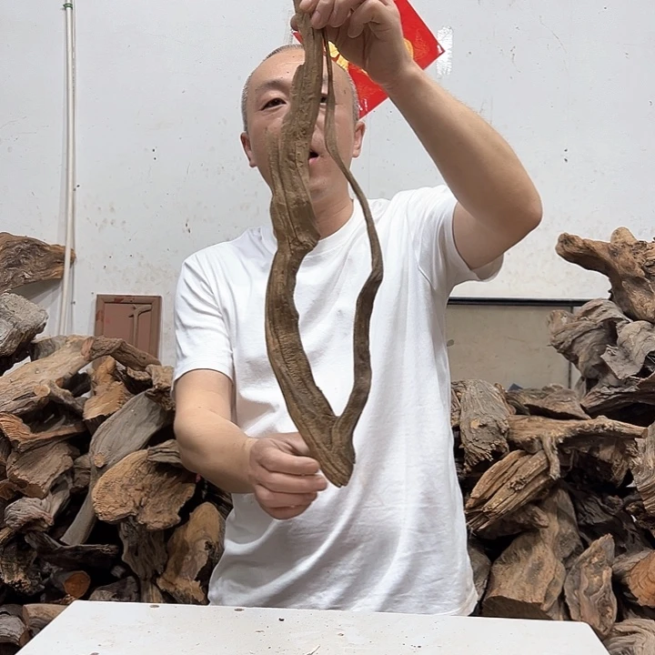 柏木钦**瀚我们的生活是以自己为