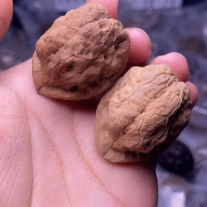 文玩核桃把件   119