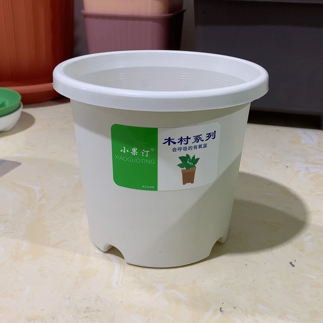 树脂四季口15白10个无托