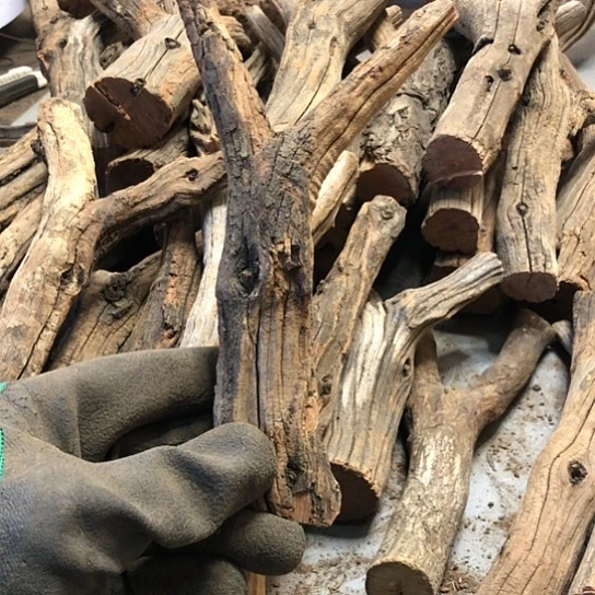 大果紫檀（缅甸花梨）万**新