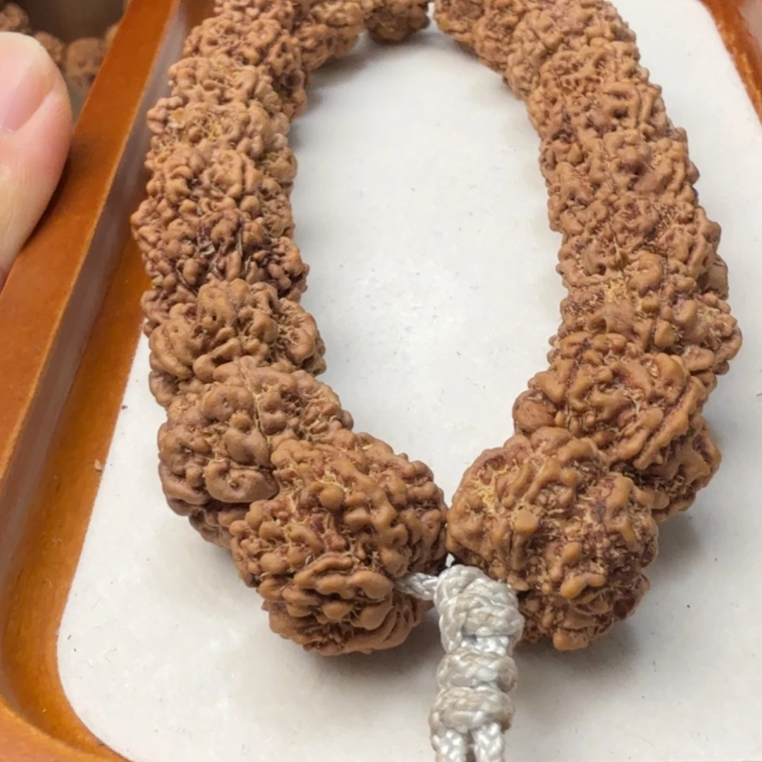 隔***长吊坠金刚菩提野生籽6瓣天尊天花板