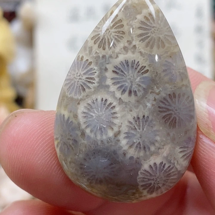 颈饰未镶嵌硅化珊瑚（珊瑚玉）小